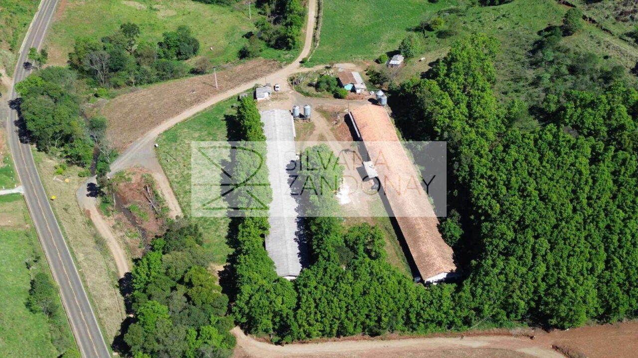 GRANJA DE AVES À VENDA – PERITIBA/SC